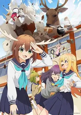 My Deer Friend Nokotan (Dub)