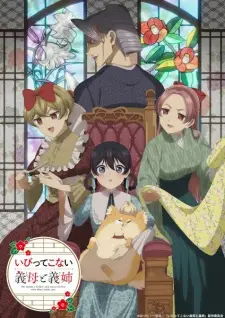 My Stepmother and Stepsisters Aren’t Wicked poster